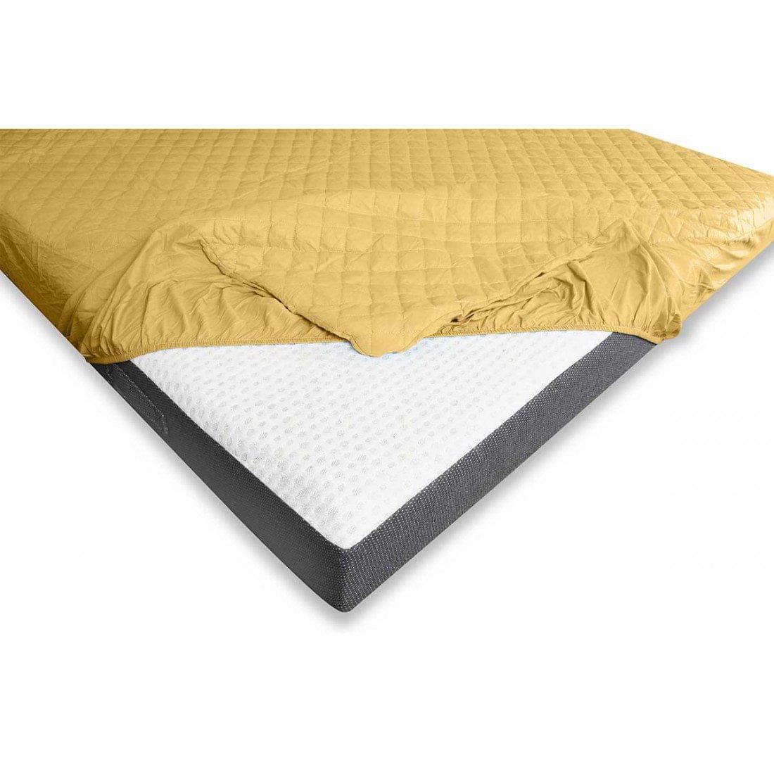 Protector-Gold.3-1100x1100w